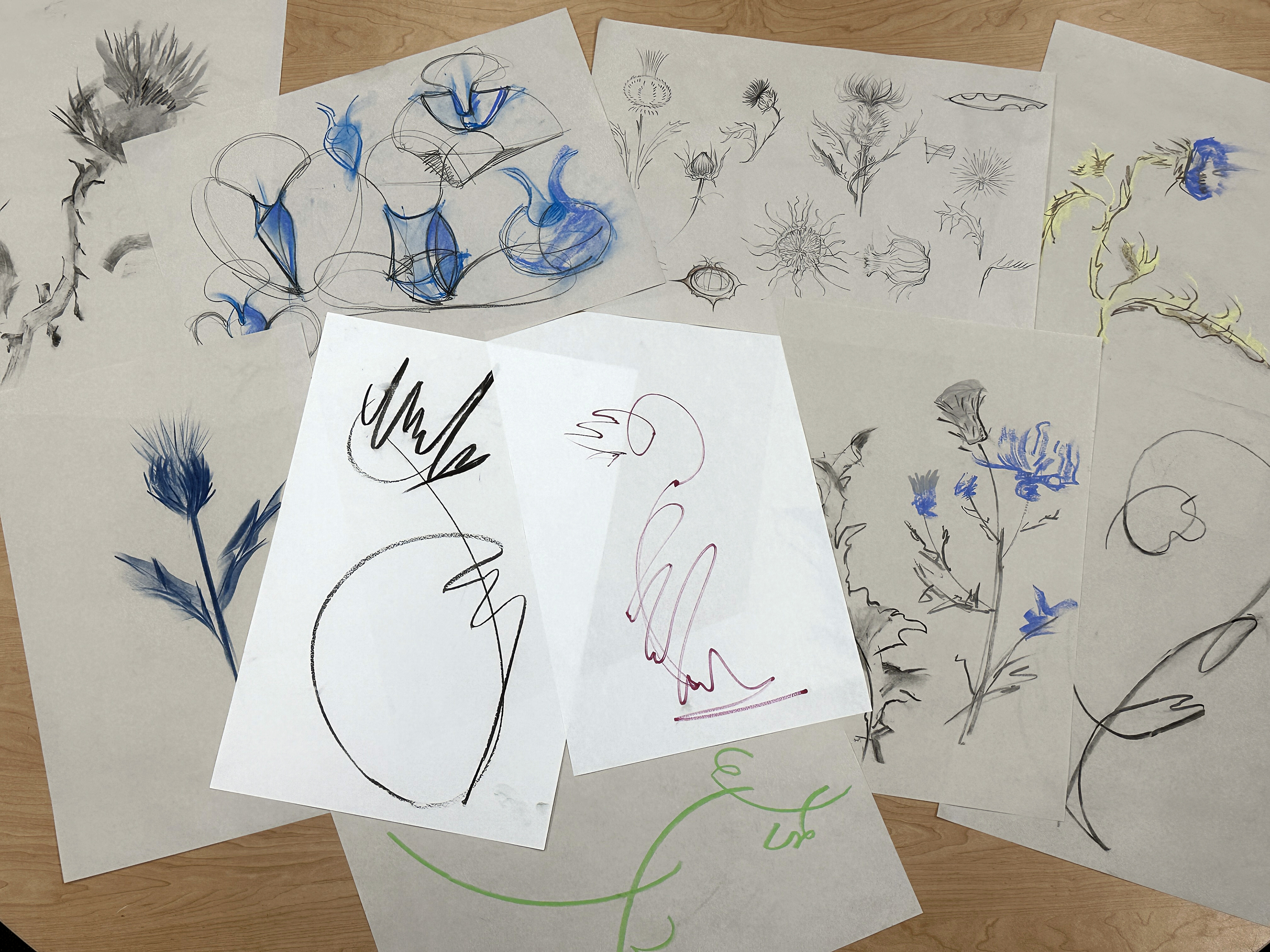 sketches on paper