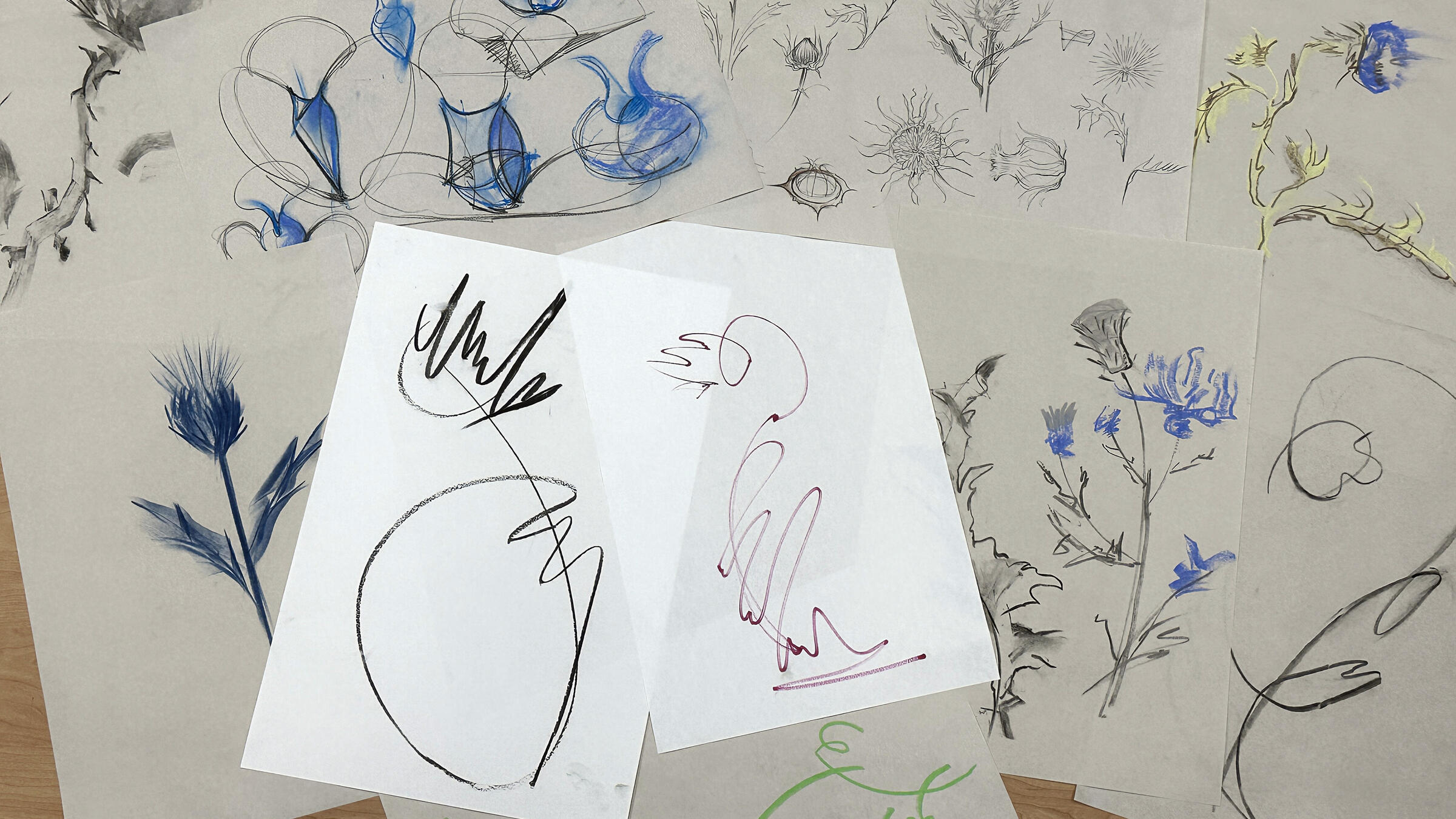 sketches on paper