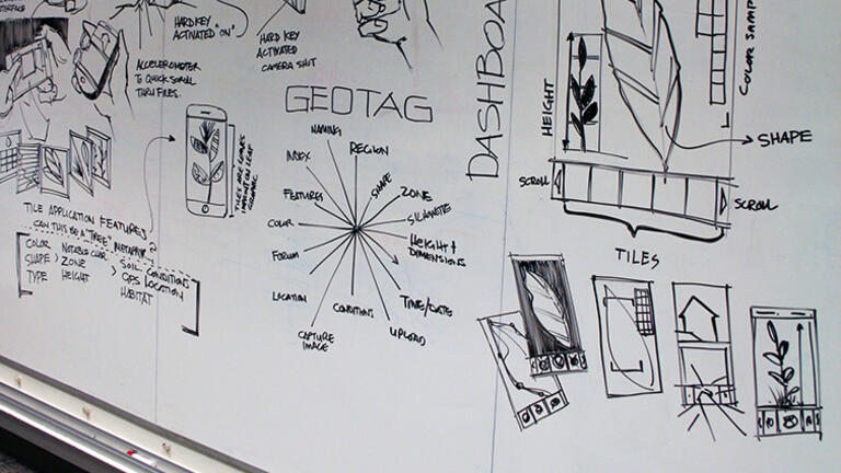 Sketches for a mobile application are drawn in black marker on a whiteboard in a meeting room.