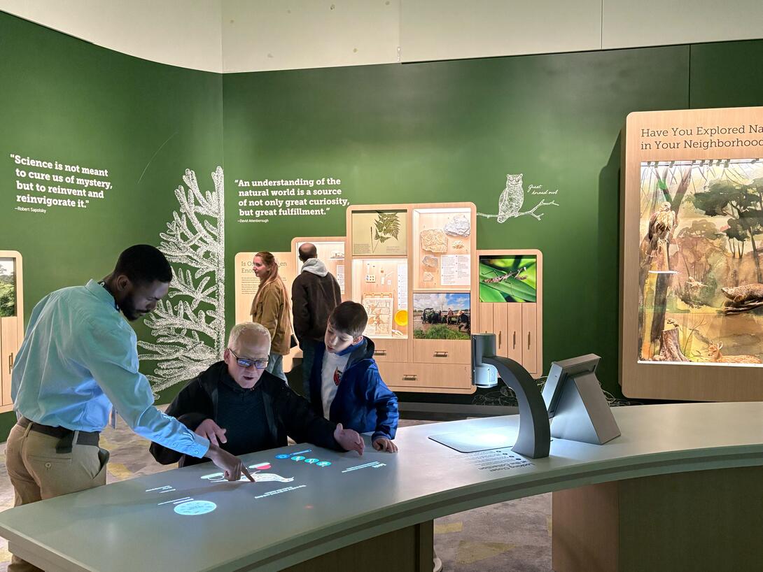 People interacting with a museum exhibit
