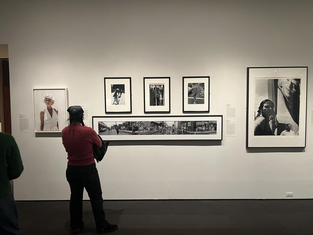 A person looking at photographs in an art gallery