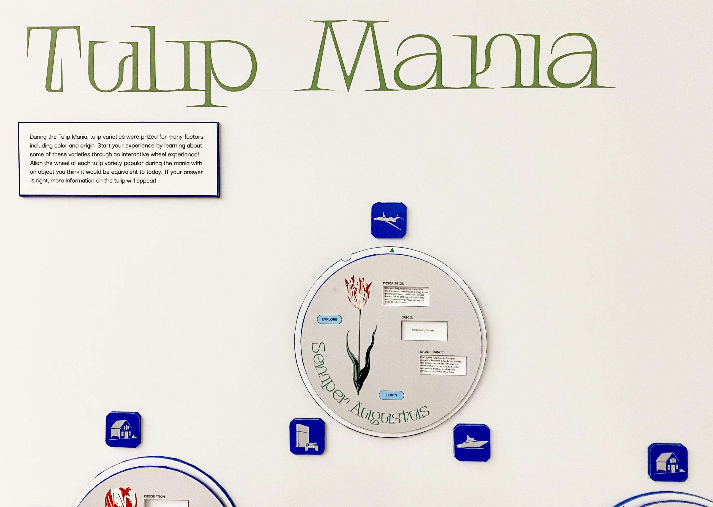 Prototype of Tulip Mania